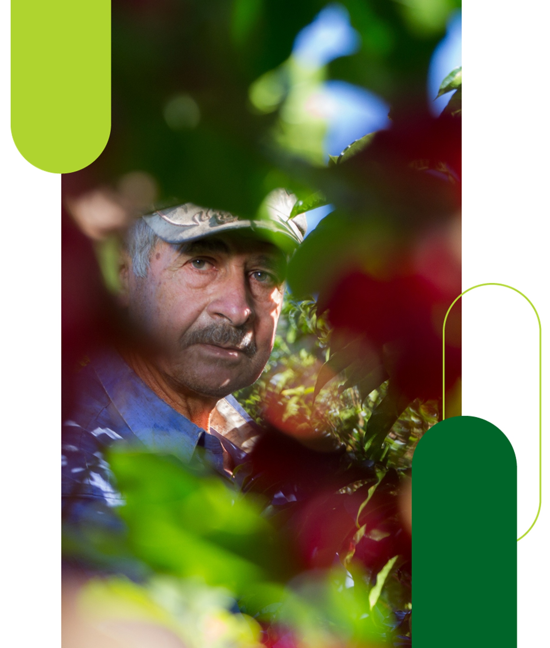 https://coocafisa.com/wp-content/uploads/2026/05/Picture1.png